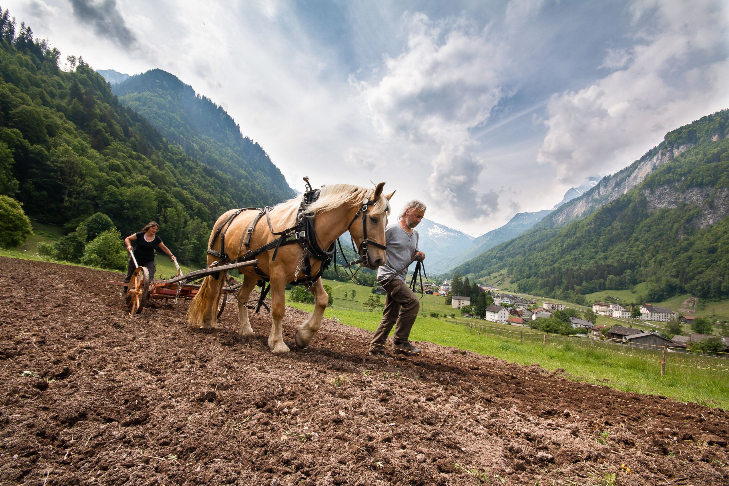 Bauern beim Pflügen mit dem Pferd